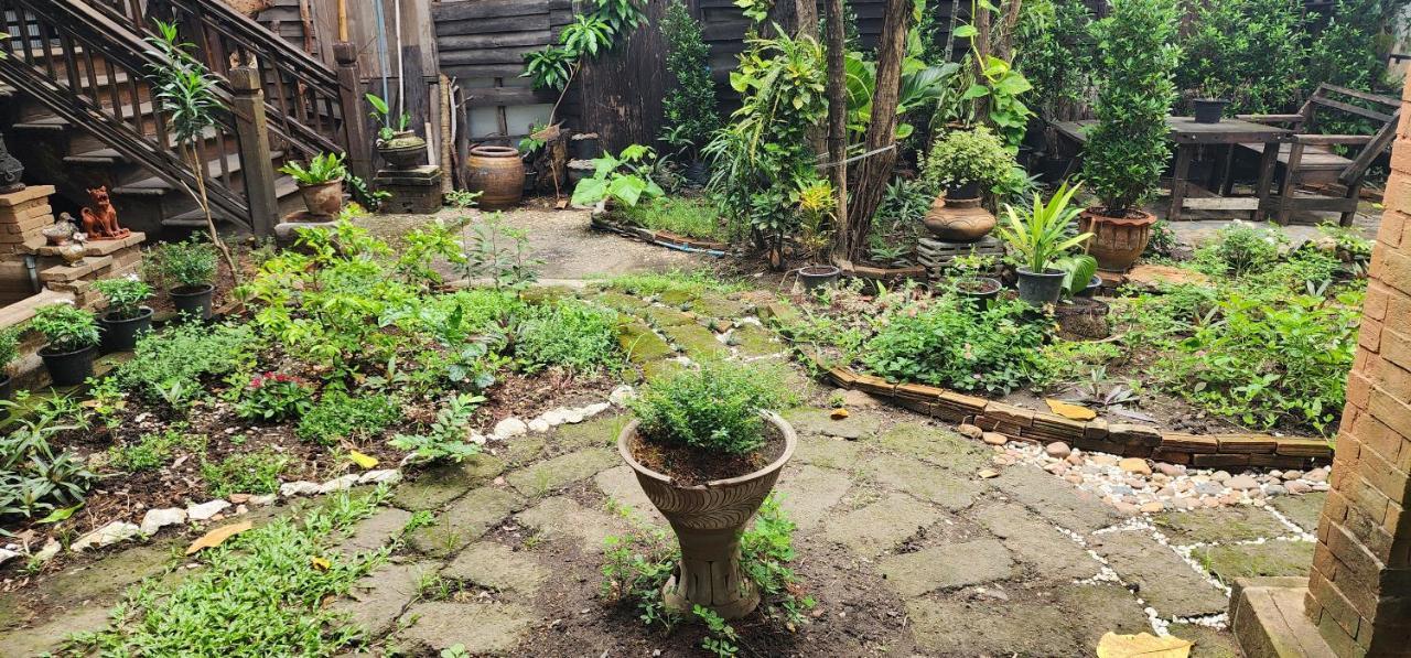 Cozy Nest Cnx Vandrehjem Chiang Mai Eksteriør billede