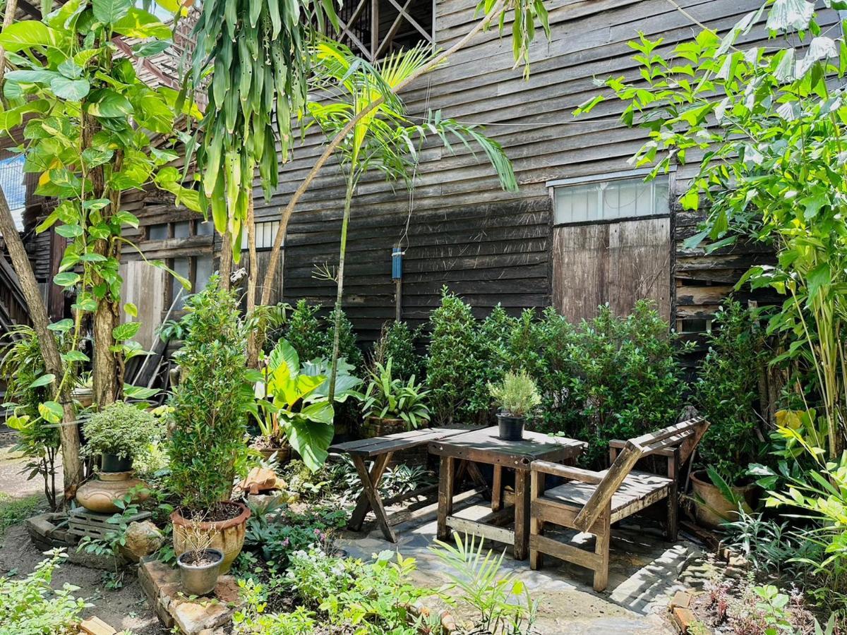 Cozy Nest Cnx Vandrehjem Chiang Mai Eksteriør billede