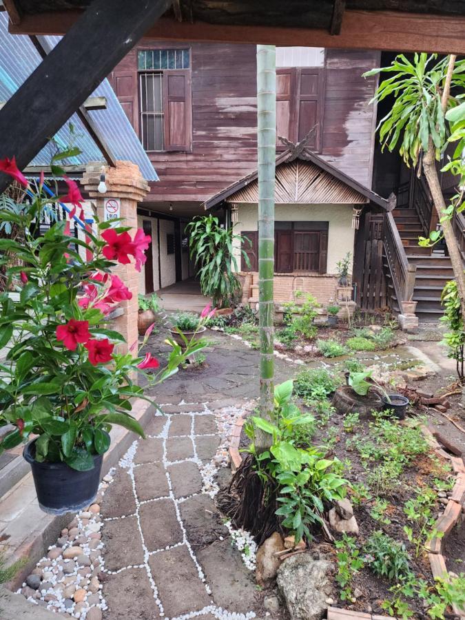 Cozy Nest Cnx Vandrehjem Chiang Mai Eksteriør billede